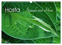 Hosta Staude mit Herz (Wandkalender 2024 DIN A3 quer), CALVENDO Monatskalender von Heußlein,  Jutta