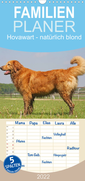 Hovawart – natürlich blond – Familienplaner hoch (Wandkalender 2022 , 21 cm x 45 cm, hoch) von Mielewczyk,  Barbara