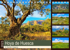 Hoya de Huesca – Im Norden Aragons (Tischkalender 2023 DIN A5 quer) von LianeM