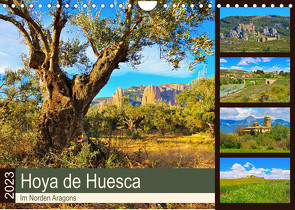 Hoya de Huesca – Im Norden Aragons (Wandkalender 2023 DIN A4 quer) von LianeM