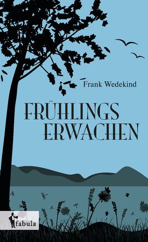 Huckleberry Finns Abenteuer von Twain,  Mark