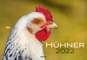 Hühner 2022