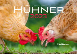 Hühner 2023 von Hubert,  M.-L., Klein,  J. L.