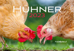 Hühner 2023