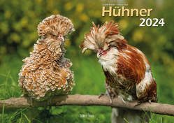 Hühner 2024 Bildkalender A3 quer – Judith Kiener & Oliver Giel von Giel,  Oliver, Kiener,  Judith, Klaes,  Holger