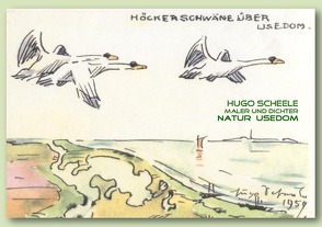 Hugo Scheele Natur Usedom von Stockmann,  Hilde