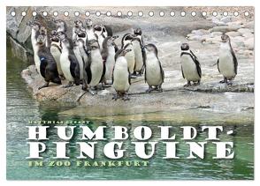 HUMBOLDTPINGUINE (Tischkalender 2024 DIN A5 quer), CALVENDO Monatskalender von Besant,  Matthias