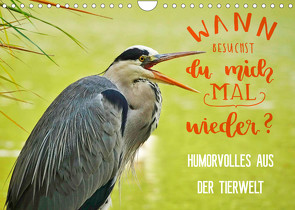 Humorvolles aus der Tierwelt (Wandkalender 2022 DIN A4 quer) von Jäger und Mimi,  Anette