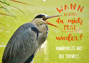 Humorvolles aus der Tierwelt (Wandkalender 2023 DIN A2 quer) von Jäger und Mimi,  Anette