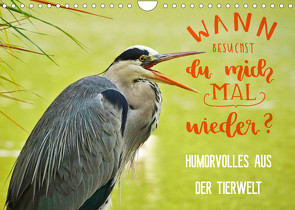 Humorvolles aus der Tierwelt (Wandkalender 2023 DIN A4 quer) von Jäger und Mimi,  Anette