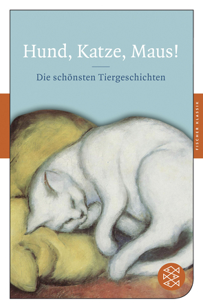 Hund, Katze, Maus! von Ostmann,  Lea Katharina