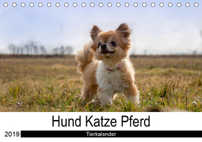 Hund Katze PferdAT-Version (Tischkalender 2019 DIN A5 quer) von Hutterer Fotografie,  Martha