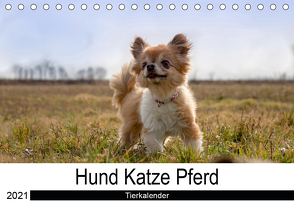 Hund Katze PferdAT-Version (Tischkalender 2021 DIN A5 quer) von Hutterer Fotografie,  Martha