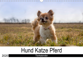 Hund Katze PferdAT-Version (Wandkalender 2020 DIN A3 quer) von Hutterer Fotografie,  Martha