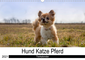 Hund Katze PferdAT-Version (Wandkalender 2021 DIN A3 quer) von Hutterer Fotografie,  Martha