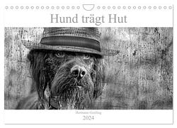 Hund trägt Hut (Wandkalender 2024 DIN A4 quer), CALVENDO Monatskalender von Greiling,  Hermann