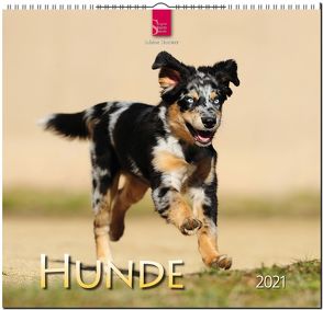 Hunde von Stuewer,  Sabine