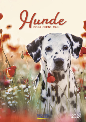 Hunde 2024 von Korsch Verlag