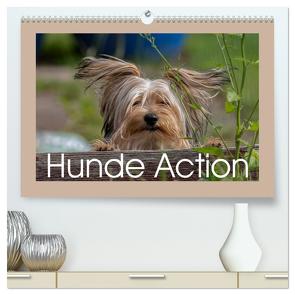 Hunde Action (hochwertiger Premium Wandkalender 2024 DIN A2 quer), Kunstdruck in Hochglanz von von der Heyde,  Wiebke