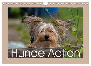 Hunde Action (Wandkalender 2024 DIN A4 quer), CALVENDO Monatskalender von von der Heyde,  Wiebke