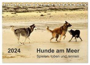 Hunde am Meer – Spielen, toben und rennen (Tischkalender 2024 DIN A5 quer), CALVENDO Monatskalender von Walter,  Dirk