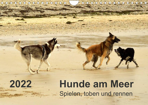 Hunde am Meer – Spielen, toben und rennen (Wandkalender 2022 DIN A4 quer) von Walter,  Dirk