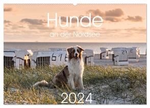 Hunde an der Nordsee (Wandkalender 2024 DIN A2 quer), CALVENDO Monatskalender von Bollich,  Heidi