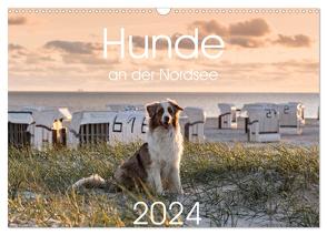 Hunde an der Nordsee (Wandkalender 2024 DIN A3 quer), CALVENDO Monatskalender von Bollich,  Heidi