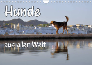 Hunde aus aller Welt (Wandkalender 2023 DIN A4 quer) von Blümm,  Florian