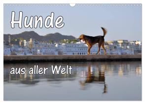 Hunde aus aller Welt (Wandkalender 2024 DIN A3 quer), CALVENDO Monatskalender von Blümm,  Florian