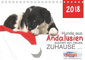 Hunde aus Andalusien suchen ein neues Zuhause … (Tischkalender 2018 DIN A5 quer) von Eckerl Tierfotografie www.petraeckerl.com,  Petra