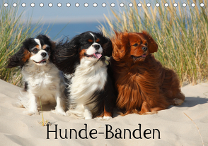 Hunde-Banden (Tischkalender 2021 DIN A5 quer) von Wegner,  Petra