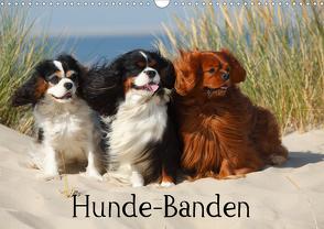 Hunde-Banden (Wandkalender 2021 DIN A3 quer) von Wegner,  Petra