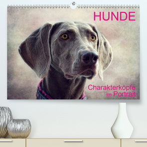 HUNDE-Chrakaterköpfe im Portrait (Premium, hochwertiger DIN A2 Wandkalender 2021, Kunstdruck in Hochglanz) von Möckel / Lucy L!u,  Claudia