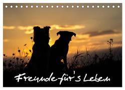 Hunde – Freunde für’s Leben (Tischkalender 2024 DIN A5 quer), CALVENDO Monatskalender von Schulz,  Elke