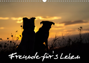 Hunde – Freunde für’s Leben (Wandkalender 2020 DIN A3 quer) von Schulz,  Elke