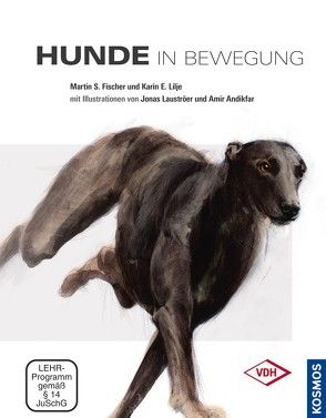 Hunde in Bewegung von Fischer,  Martin, Lilje,  Karin E.