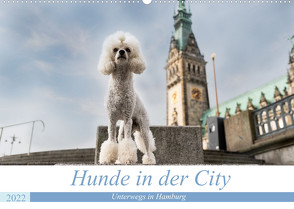 Hunde in der City – Unterwegs in Hamburg (Wandkalender 2022 DIN A2 quer) von Teßen,  Sonja