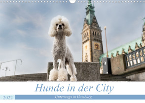 Hunde in der City – Unterwegs in Hamburg (Wandkalender 2022 DIN A3 quer) von Teßen,  Sonja