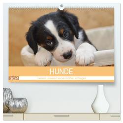 HUNDE – Lassen unsere Herzen höher schlagen (hochwertiger Premium Wandkalender 2024 DIN A2 quer), Kunstdruck in Hochglanz von Hampe-Neves,  Sabine