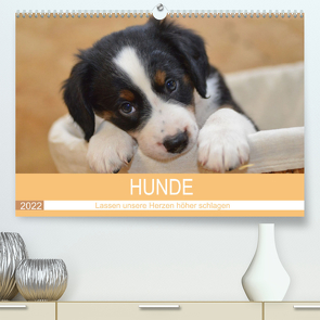 HUNDE – Lassen unsere Herzen höher schlagen (Premium, hochwertiger DIN A2 Wandkalender 2022, Kunstdruck in Hochglanz) von Hampe-Neves,  Sabine