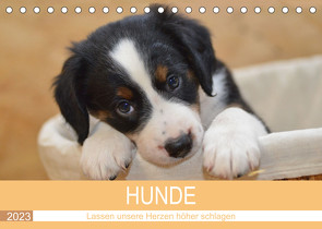 HUNDE – Lassen unsere Herzen höher schlagen (Tischkalender 2023 DIN A5 quer) von Hampe-Neves,  Sabine