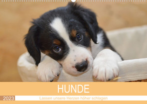 HUNDE – Lassen unsere Herzen höher schlagen (Wandkalender 2023 DIN A2 quer) von Hampe-Neves,  Sabine