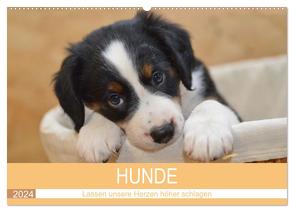 HUNDE – Lassen unsere Herzen höher schlagen (Wandkalender 2024 DIN A2 quer), CALVENDO Monatskalender von Hampe-Neves,  Sabine