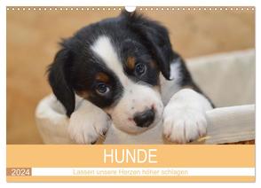 HUNDE – Lassen unsere Herzen höher schlagen (Wandkalender 2024 DIN A3 quer), CALVENDO Monatskalender von Hampe-Neves,  Sabine