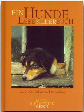 Hunde LeseBilderBuch von Luthardt,  Ernst-Otto, Richner,  Werner