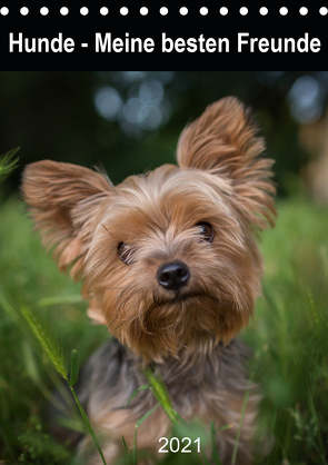 Hunde – Meine besten Freunde (Tischkalender 2021 DIN A5 hoch) von FotosVonMaja