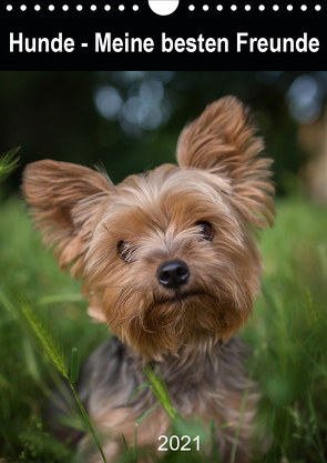 Hunde – Meine besten Freunde (Wandkalender 2021 DIN A4 hoch) von FotosVonMaja