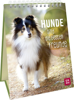 Hunde sind die besten Freunde von Groh Verlag