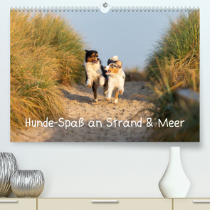 Hunde-Spaß an Strand & Meer (Premium, hochwertiger DIN A2 Wandkalender 2023, Kunstdruck in Hochglanz) von Mirsberger,  Annett